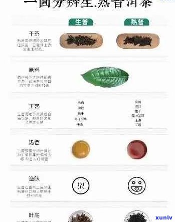 熟普洱与生普洱：对比分析，帮助您选择适合您的茶叶