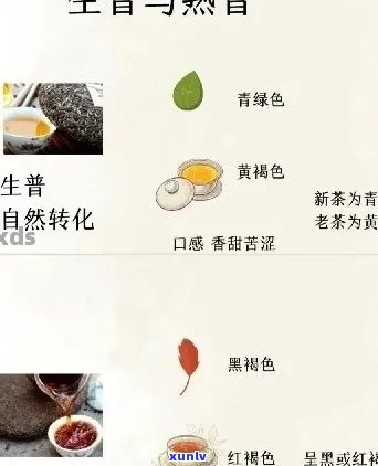 熟普洱与生普洱：对比分析，帮助您选择适合您的茶叶