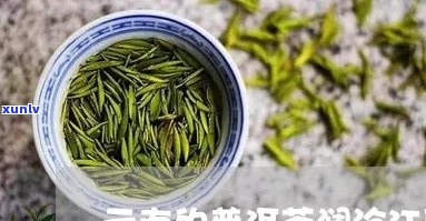 云南澜沧江茶业：原生茶0512,红茶价格表，官网 *** ， *** 