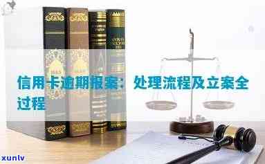 信用卡逾期报案全面解析：处理逾期账单的正确步骤与流程