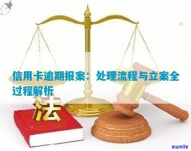 信用卡逾期报案全面解析：处理逾期账单的正确步骤与流程