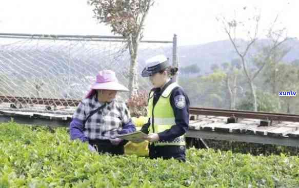 普洱茶城交警二维码