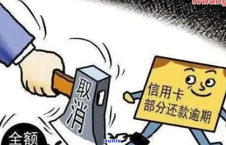 信用卡欠款会发出抓捕信息吗？逾期还款后果及应对措全面解析