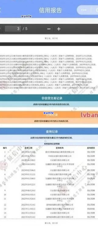 综合信用管理服务平台：一站式处理逾期信用卡记录查询与分析