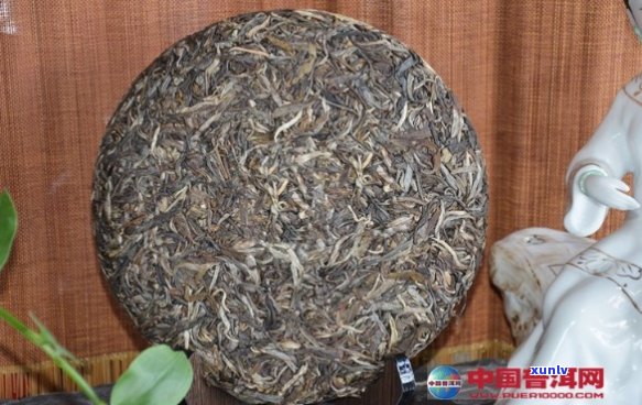 普洱茶价格指南：一斤多少钱？影响普洱茶价格的因素有哪些？