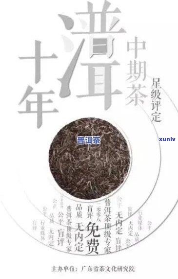 百年普洱茶：从建国初期到的演变