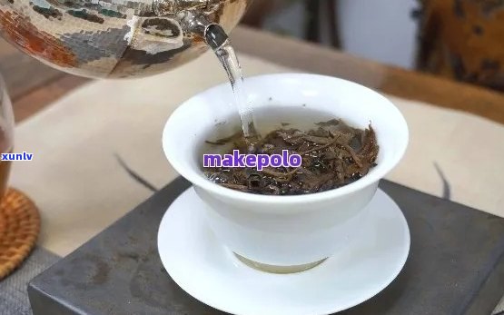 普洱茶冲泡技巧：如何根据茶叶量和水调整一壶的分量