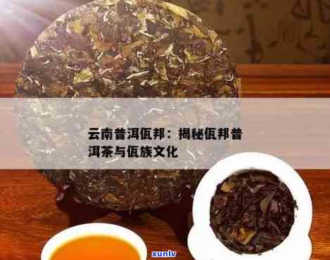 佤邦的普洱茶怎么样