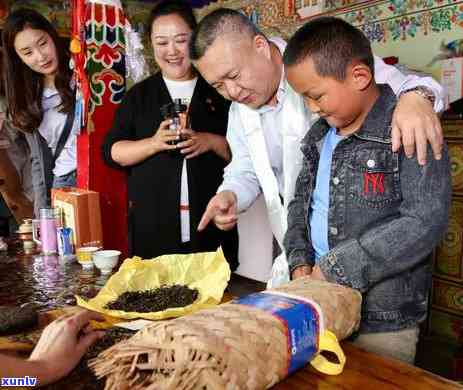 普洱茶之一泡中氟含量的全面分析及相关探讨