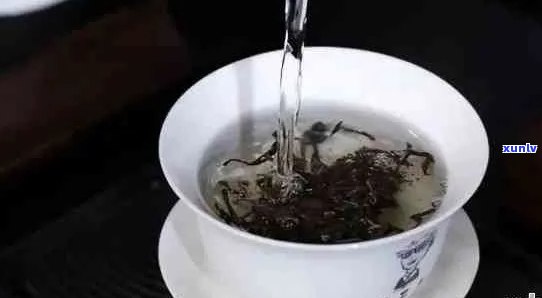 普洱茶能冷泡可以吗