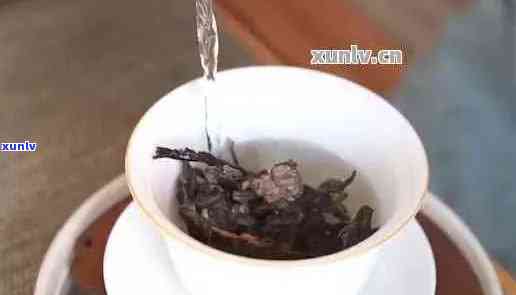 普洱茶能冷泡可以吗