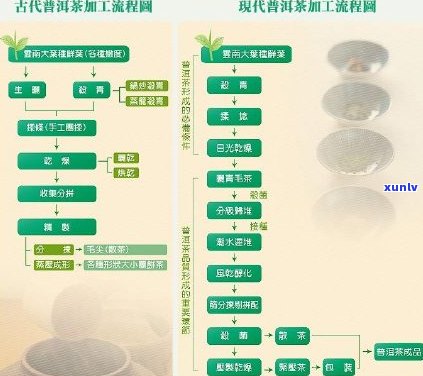 全面了解普洱茶名厂家，探索高品质茶叶的 *** 工艺与背景