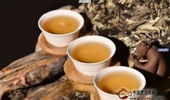 普洱茶的魅力：全面解析其品质、功效与泡法，探究为何备受推崇？