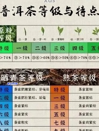 南等普洱茶：品种、产地、 *** 工艺、口感、鉴别 *** 与购买建议全方位解析