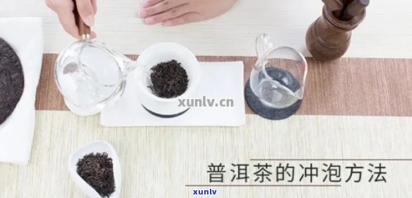 一次冲泡普洱茶的水量与比例探究