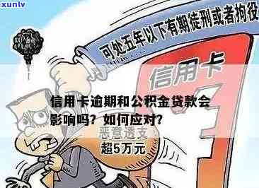 住房公积金贷款逾期解决方案：信用卡还款技巧与应对策略