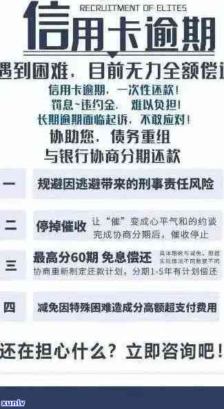 信用卡逾期问题全方位解决指南：如何查询 *** 号码、处理流程及常见应对措