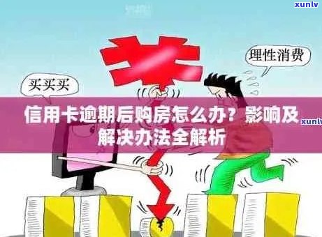 信用卡逾期还款对离婚后购房资格的影响及解决办法