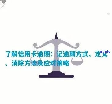 逾期信用额度消除策略：打造完美信用记录与提升信用评分