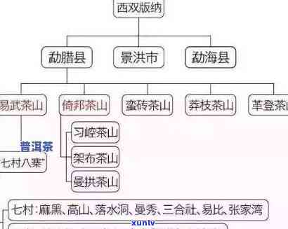 探究水洞普洱茶的独特品质及其所属茶区