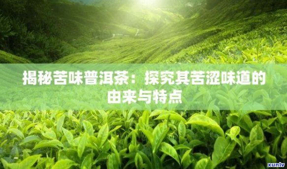 探究普洱茶苦味的产地及相关特性