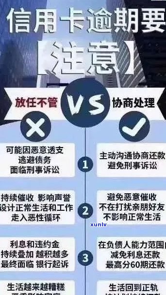 信用卡逾期与网贷问题全面解析：如何应对、解决方案与预防措