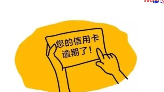 逾期信用卡多久通知合法亲友：探讨合适的时间节点与联系方式