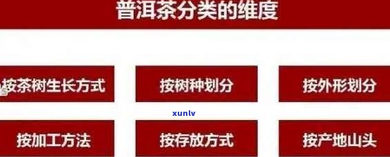 大益普洱茶二级试题：全面解析考试内容、备考策略和成功经验