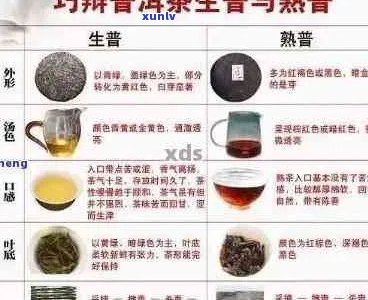 大益普洱茶二级试题：全面解析考试内容、备考策略和成功经验