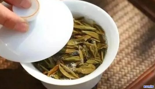 普洱茶与白茶混合泡饮：探讨可能的饮用效果及是否可行