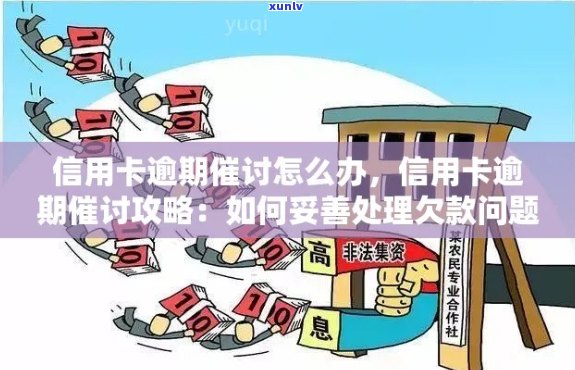 信用卡逾期攻略：如何免费、高效地处理逾期还款问题