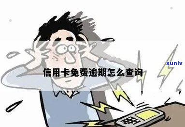 信用卡逾期怎么找免费