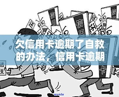 多家信用卡逾期怎么办