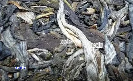 '普洱茶可以润肠通便吗？怎么喝？女性适合吗？'