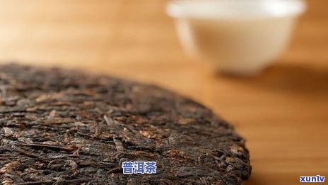 3000克帕卡普洱茶：中国研究院的深度研究与品鉴