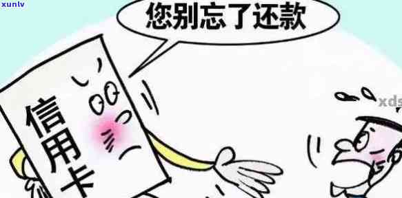 信用卡逾期超过15万怎么办？如何处理？