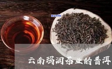 玛润普洱茶：云南原产，茶业精髓，品质越，价格实