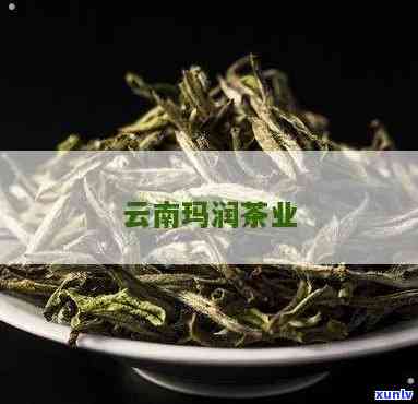 玛润普洱茶：云南原产，茶业精髓，品质越，价格实