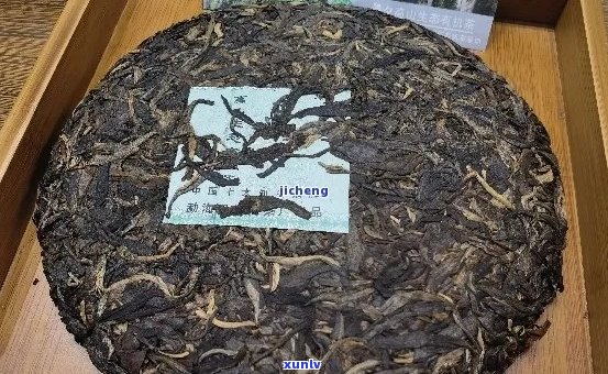 白水塘普洱茶口感及品质如何，真的好喝吗？