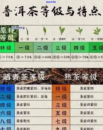 普洱茶7大印级分别：哪些级别？