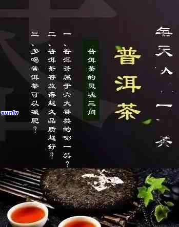 普洱茶的四个字真言