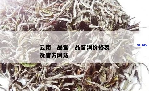 云南一品堂精选普洱茶生茶价格及批发信息