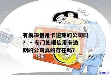 寻找专门处理信用卡逾期问题的公司有哪些？