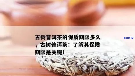 '古树生普洱茶保存期多久：品饮时间与有效保质期解析'