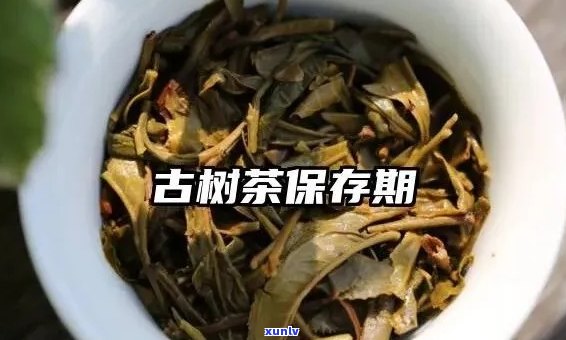 古树普洱茶的保存期限及其有效存放 *** 解析