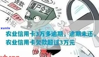 农业信用卡3万多逾期怎么办？利息多少？会怎样？