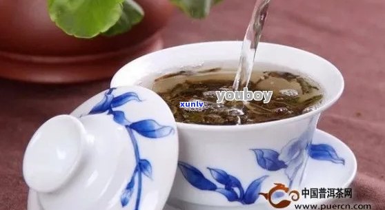 普洱茶一般喝多少度的水比较好？