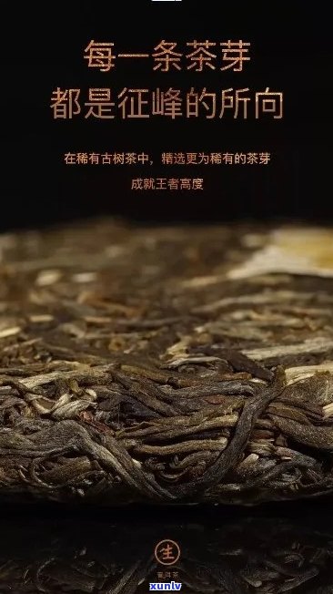 南糯王普洱茶珍品系列：千年古树熟茶的醇香传承