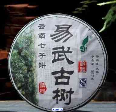 古六大茶山古树木普洱茶七子饼品鉴：全详解及购买建议