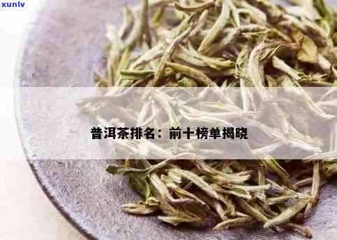 普洱茶十大排行榜前十名：优质茶叶推荐与选购指南